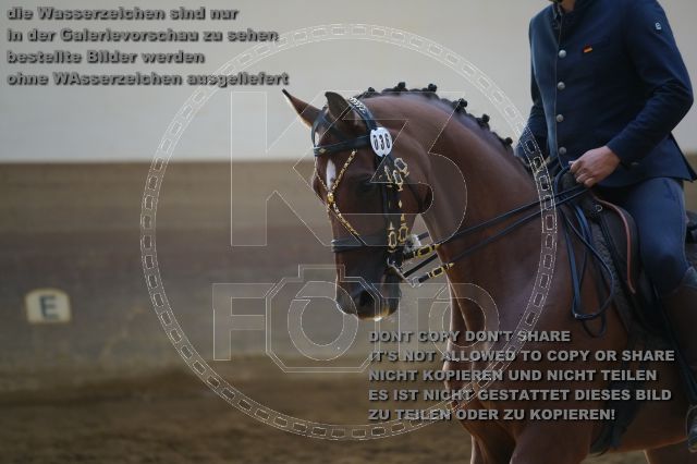 s_K3F02418.JPG